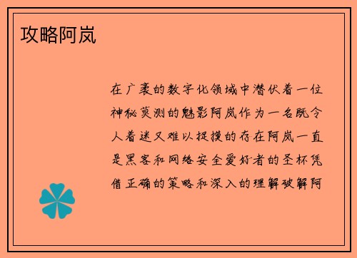 攻略阿岚
