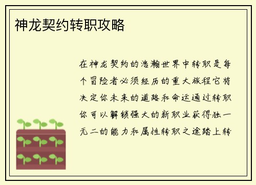 神龙契约转职攻略